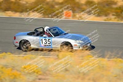 media/Nov-16-2024-Extreme Speed (Sat) [[6587d07cc4]]/Purple Group/Session 3 (The Bowl)/